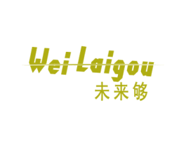 未来够