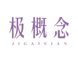 极概念