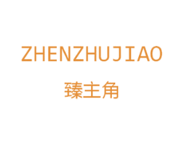 臻主角 第25类服装鞋帽商标转让 注册号44604240