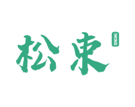 松束 第09类科学仪器商标转让 注册号45953657