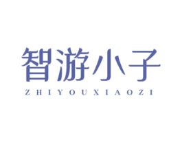 智游小子 第09类科学仪器商标转让 注册号45978008