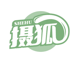 摄狐 第09类科学仪器商标转让 注册号62303430