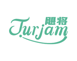 飓将 JUJAM 第09类科学仪器商标转让 注册号62027668
