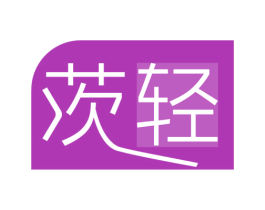 茨轻 第25类服装鞋帽商标转让 注册号42974271