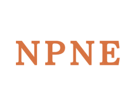 NPNE 第25类服装鞋帽商标转让 注册号41856078