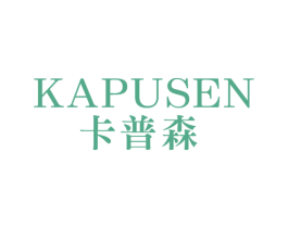 卡普森 第18类皮革箱包商标转让 注册号40226339