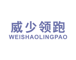 威少领跑 第25类服装鞋帽商标转让 注册号42102999
