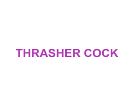 THRASHER COCK 第25类服装鞋帽商标转让 注册号52253871