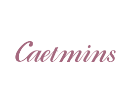 CAETMINS 第25类服装鞋帽商标转让 注册号43473634