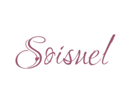 SOISUEL 第10类医疗器械商标转让 注册号54296930