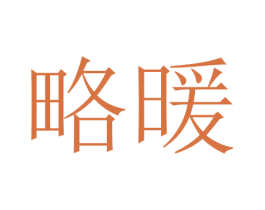 略暖 第03类化妆品商标转让 注册号45993971