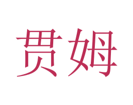 贯姆 第18类皮革箱包商标转让 注册号45765424