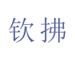 钦拂 第18类皮革箱包商标转让 注册号45219074