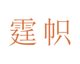霆帜 第10类医疗器械商标转让 注册号45204951