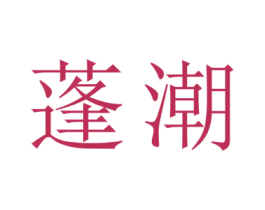 蓬潮 第10类医疗器械商标转让 注册号45198580