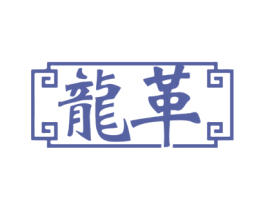 龙革 第18类皮革箱包商标转让 注册号60550102