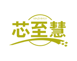 芯至慧 第09类科学仪器商标转让 注册号59584380