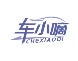 车小嘀