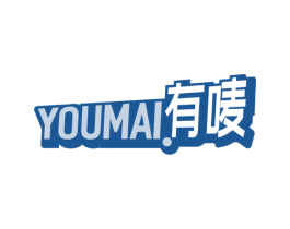 有唛 第09类科学仪器商标转让 注册号53912615