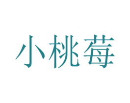 小桃莓 第18类皮革箱包商标转让 注册号53871877