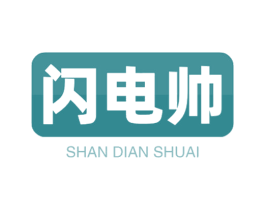 闪电帅 第09类科学仪器商标转让 注册号52288247