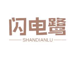 闪电鹭