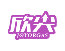 欣尖 JOYORGAS
