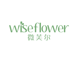 微芙尔 WISEFLOWER