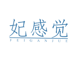 妃感觉 第03类化妆品商标转让 注册号46311919
