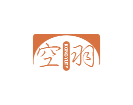 空羽 KONG YUTY 第09类科学仪器商标转让 注册号48706381