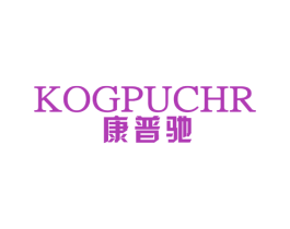 康普驰 KOGPUCHR 第10类医疗器械商标转让 注册号45980127