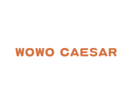 WOWO CAESAR 第30类小食配料商标转让 注册号60698865