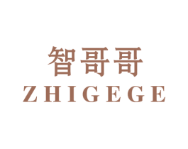 智哥哥 第10类医疗器械商标转让 注册号45862601