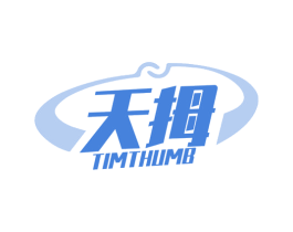 天拇 TIMTHUMB 第09类科学仪器商标转让 注册号52494728
