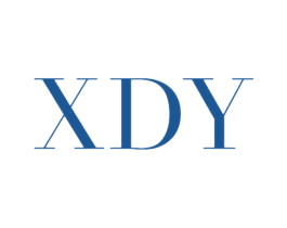 XDY 第18类皮革箱包商标转让 注册号48964767