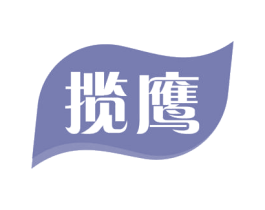 揽鹰 第18类皮革箱包商标转让 注册号58334196