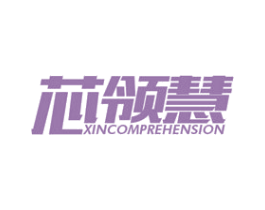 芯领慧 XINCOMPREHENSION