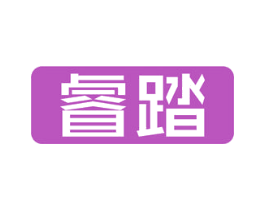 睿踏 第10类医疗器械商标转让 注册号49704107