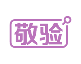 敬验 第09类科学仪器商标转让 注册号54855552