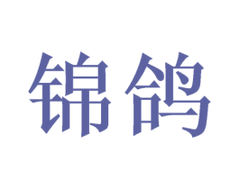 锦鸽