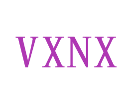VXNX 第25类服装鞋帽商标转让 注册号42596516