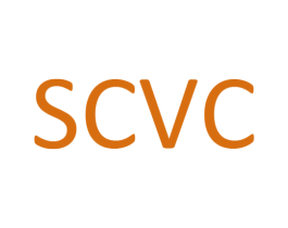SCVC 第25类服装鞋帽商标转让 注册号43675495