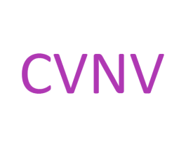 CVNV 第25类服装鞋帽商标转让 注册号43675503