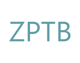 ZPTB 第25类服装鞋帽商标转让 注册号30303900