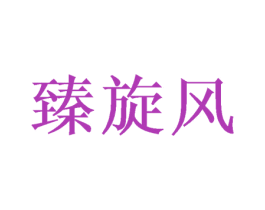 臻旋风