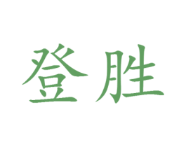 登胜 第25类服装鞋帽商标转让 注册号29155736