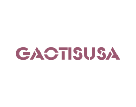 GAOTISUSA