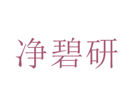 净碧研