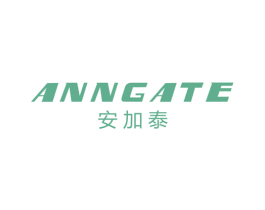 安加泰 ANNGATE 第10类医疗器械商标转让 注册号45035476