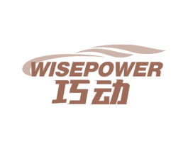 巧动 WISEPOWER